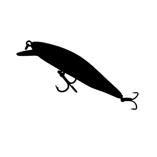 Lure