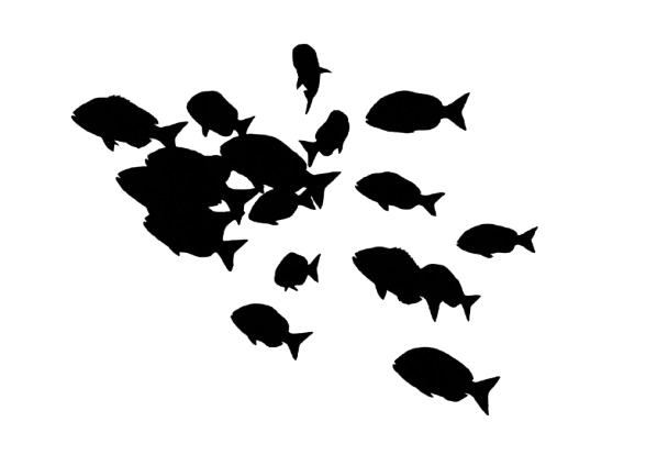Footer background